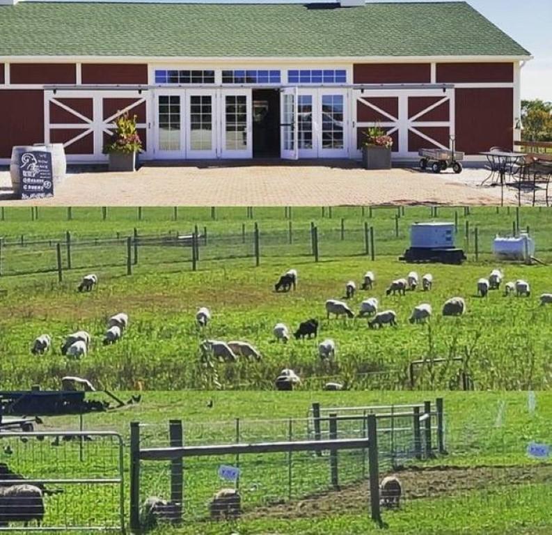 Embrace the Slow Life at 8 Hands Farm