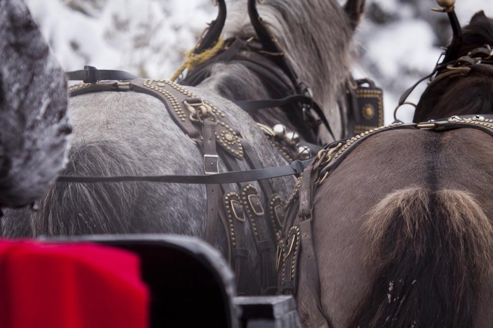 Enjoy Dinner and Sleigh Rides with a Western Twist at Two Below Zero