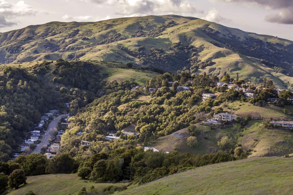 Explore Nature's Beauty with Marin County Open Space District Trails