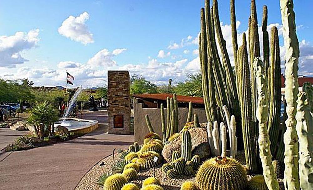 Find Your Next Great Read or Relaxing Retreat at Desert Foothills Library