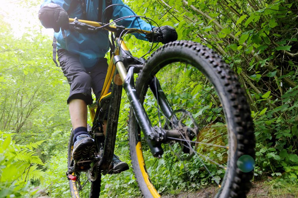 Go biking on Syllamo Mountain Bike Trail