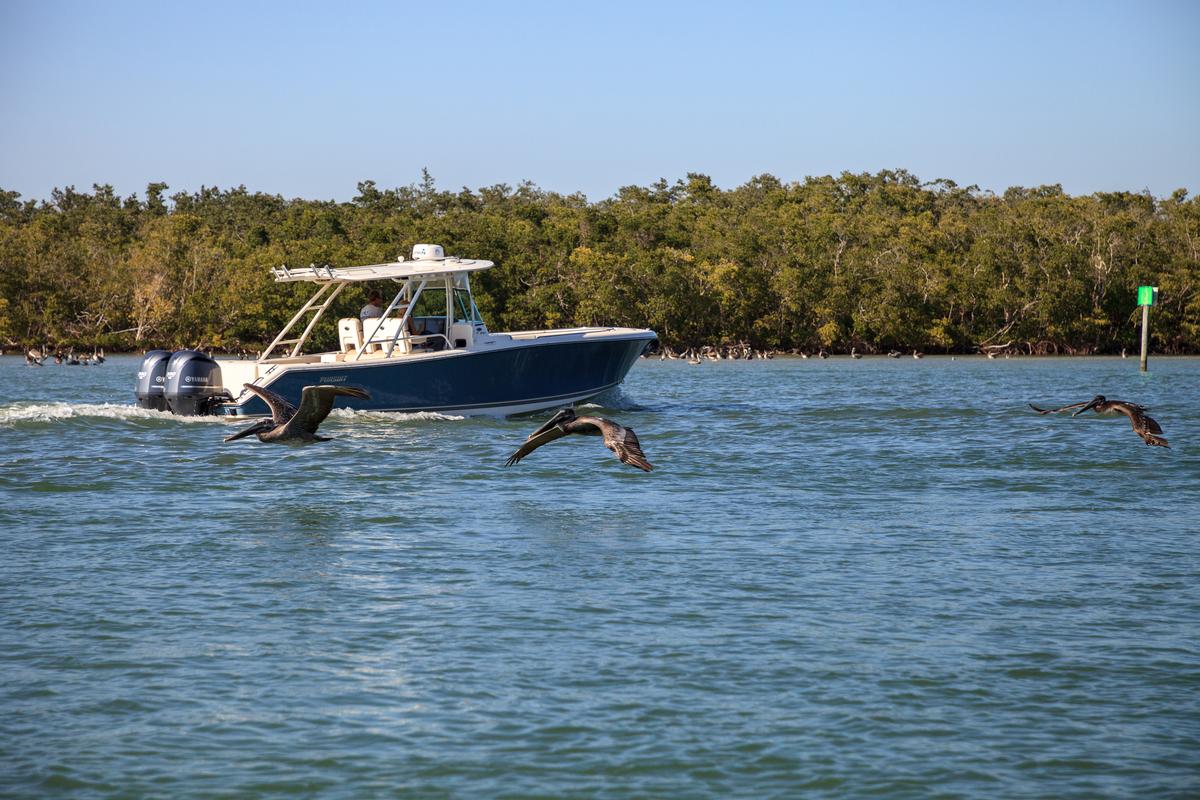Go fishing on Marco Island