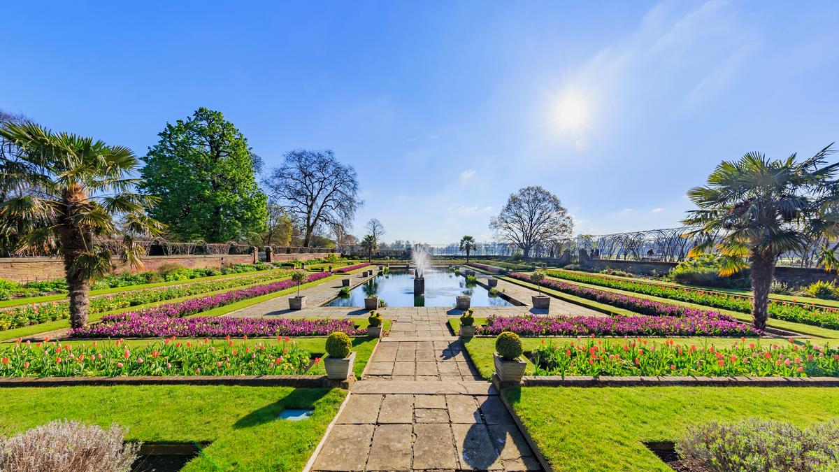 Go for a Walk in Hyde Park