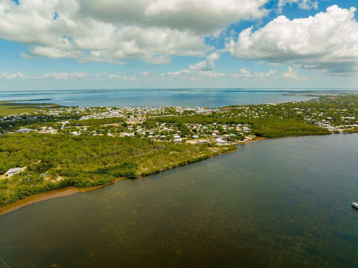 Go on adventure at John Pennekamp Coral Reef State Park