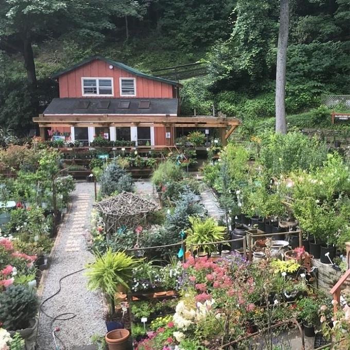 12 Best Things to Do in Banner Elk, NC