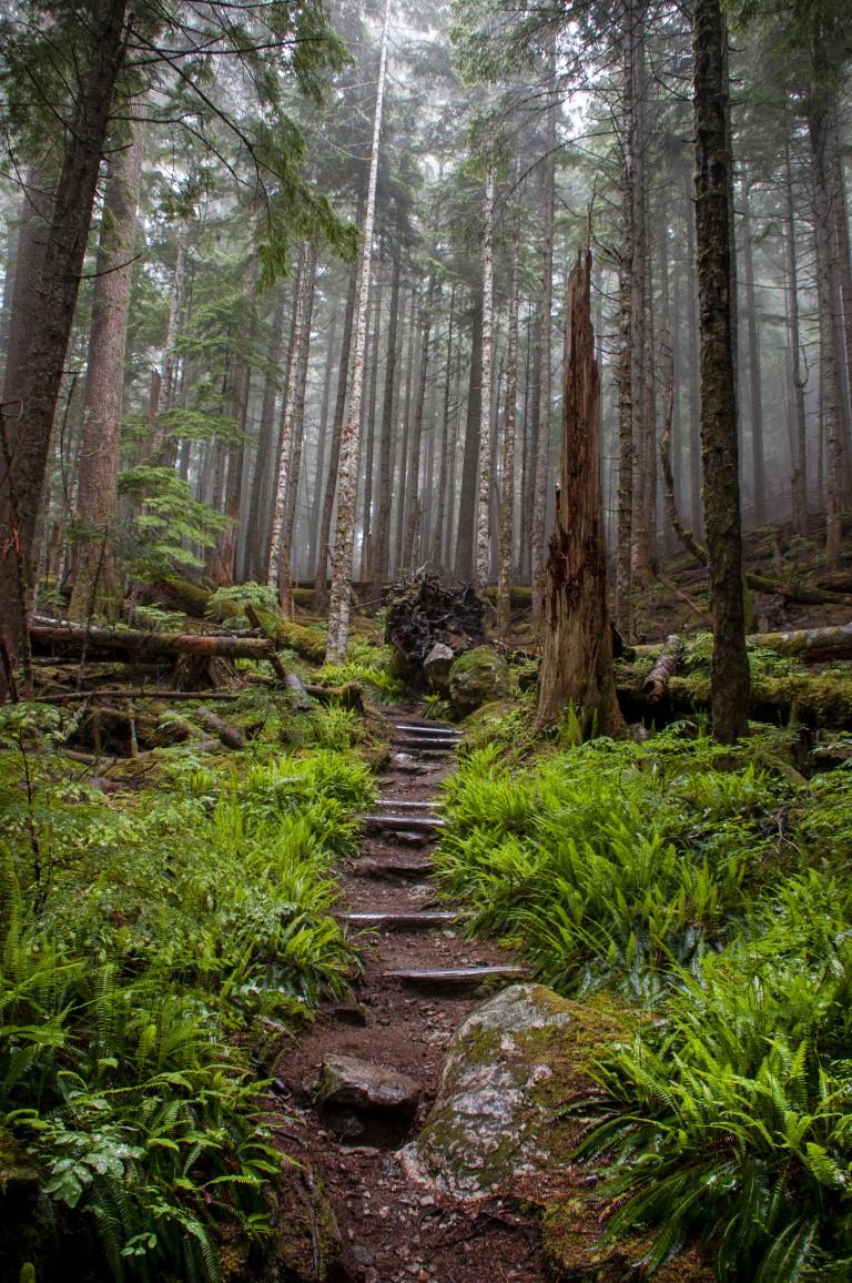 Green Lake Trail - 1 hour and 45 minutes