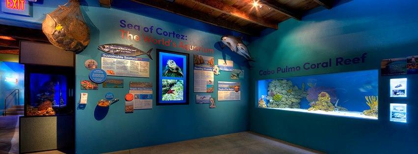 If You Crave Desert Wonders, Wander the Arizona-Sonora Desert Museum