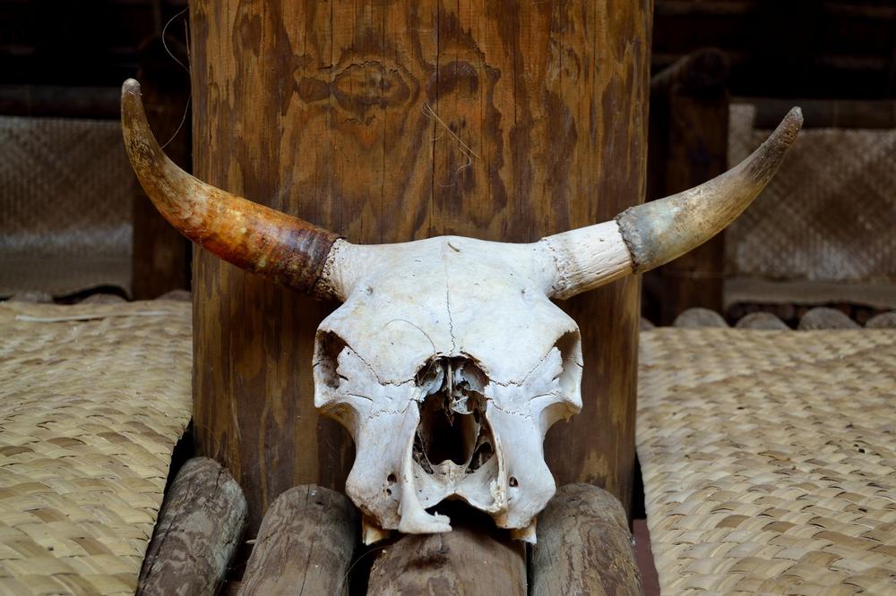 If You’re Fascinated by Ancient Cultures, Visit the Indian Temple Mound Museum
