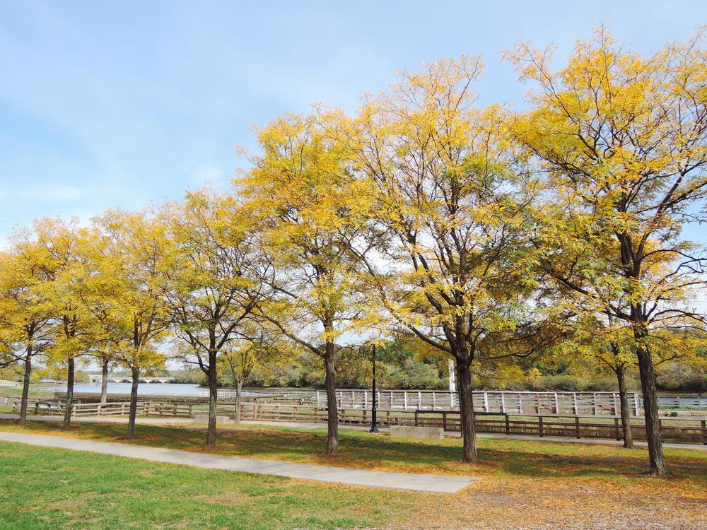 Lackawanna River Heritage Trail