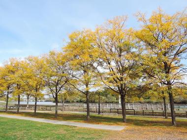 Lackawanna River Heritage Trail