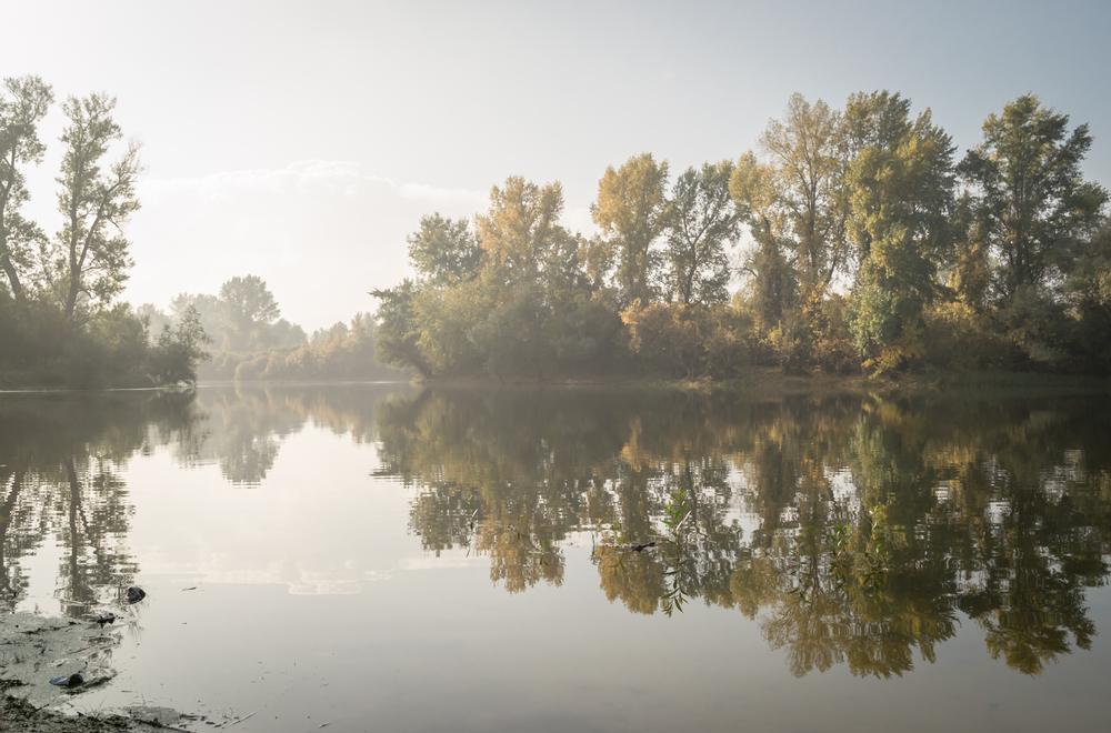 Fish or kayak on peaceful waters and explore scenic views on a relaxing trip.