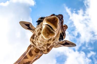 Louisiana Purchase Gardens and Zoo