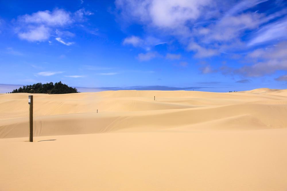 Play Among the Dunes at Jessie M. Honeyman Memorial State Park