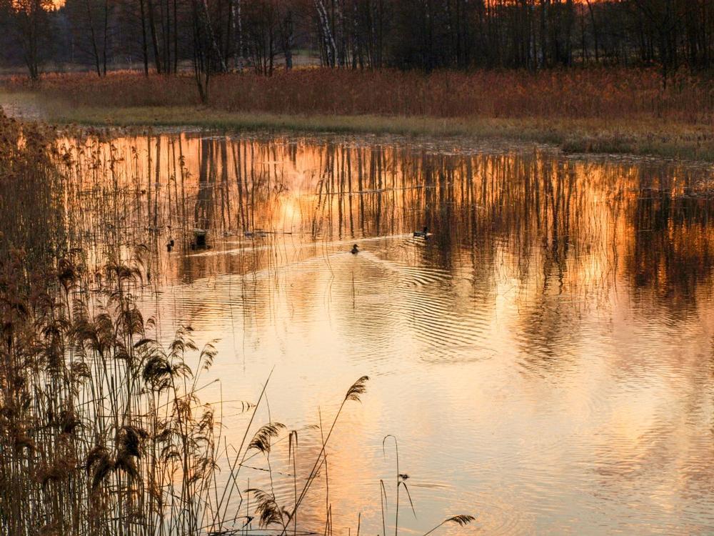 Relax on Lake Tholocco