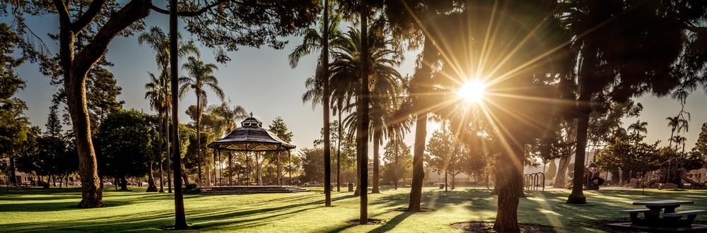 Relax under the trees and enjoy a summer concert with the family.