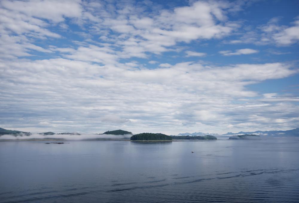 Go off-road and explore remote trails on an exciting nature-filled trip.