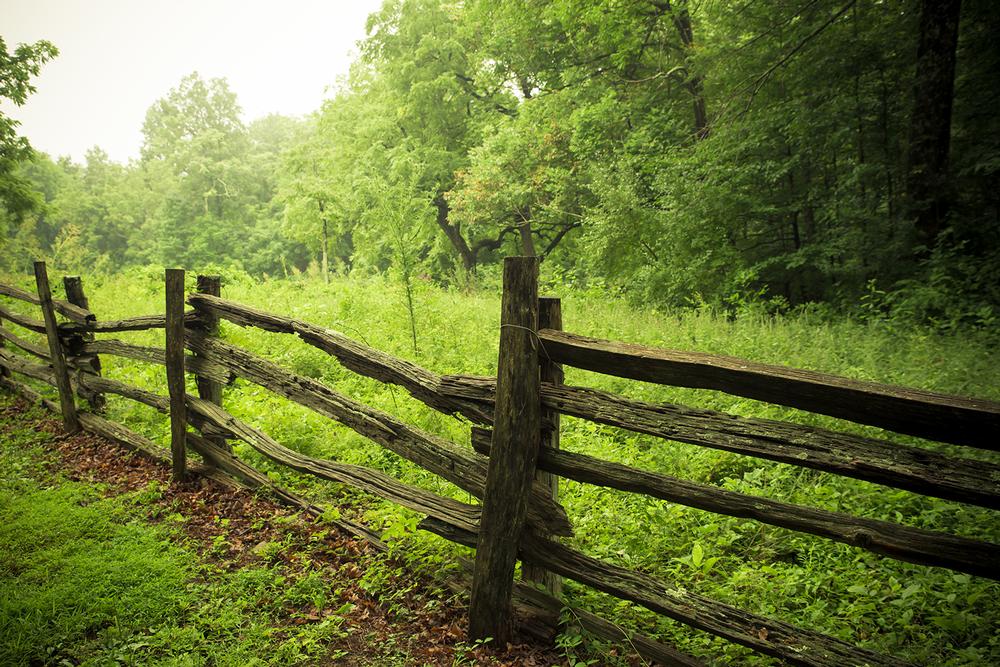 Step Into Ranch Life at Borges Ranch and Explore the Area’s Agricultural Roots