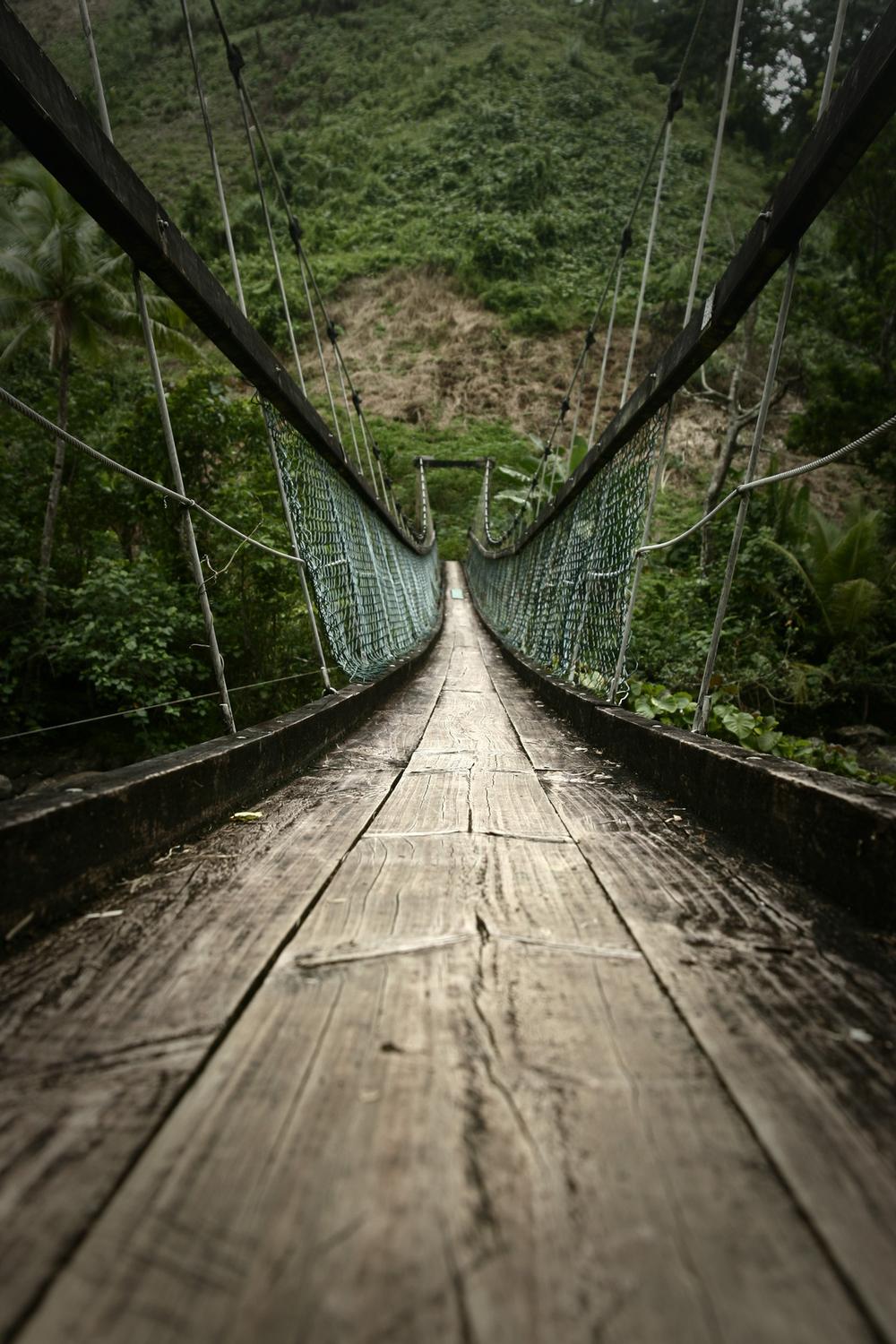 Take the Scenic Route on the Lavena Coastal Walk