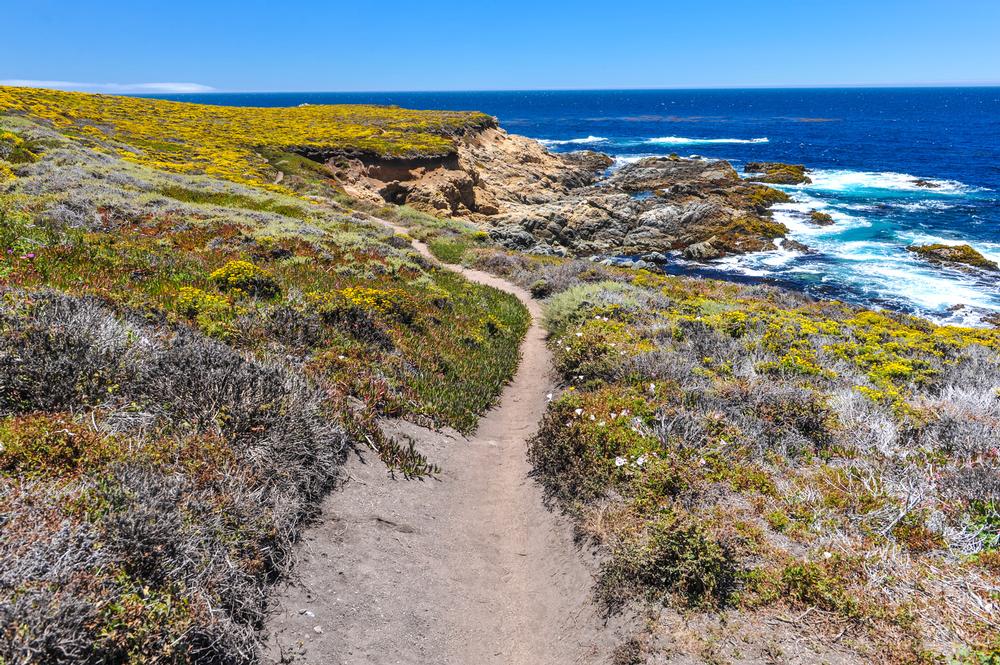 Trek Rugged Trails and Take in Cliffside Views at Garrapata State Park