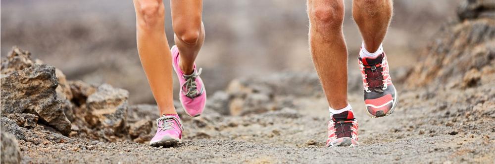 Trek the Rim of a Volcano on Loowit Trail #216