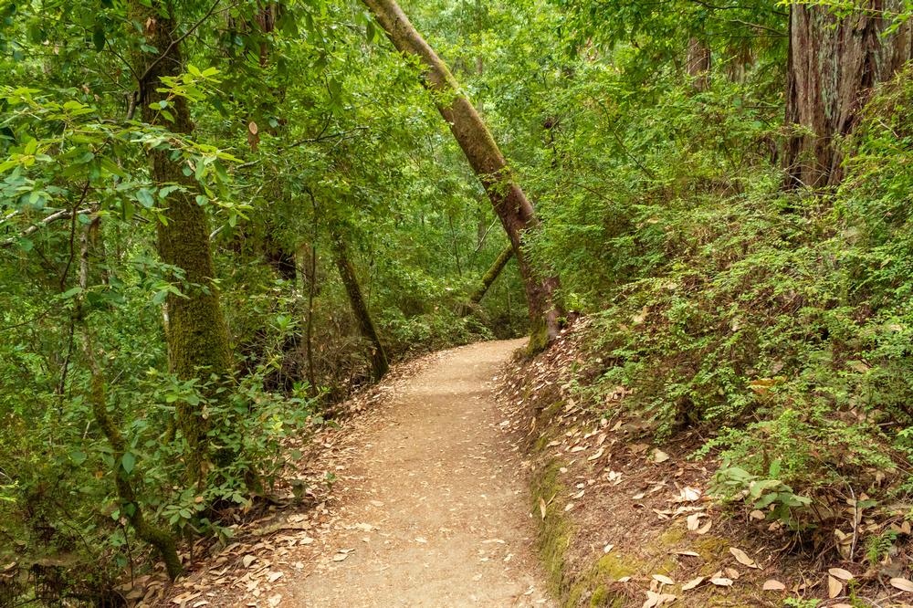 Walk along shifting earth and discover unusual geological sights.