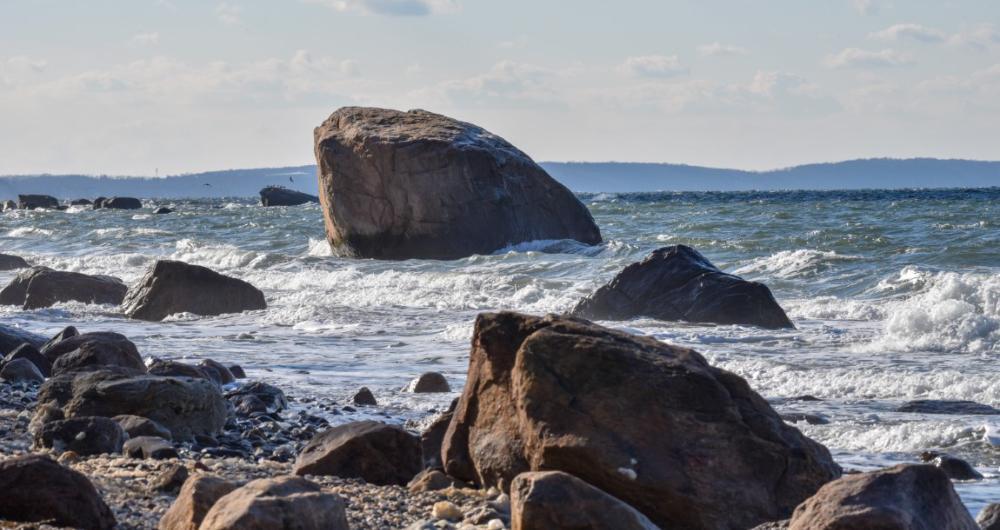 Cutchogue Calm & North Fork Sips