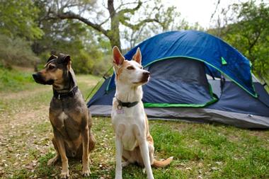 Colorado Bend State Park