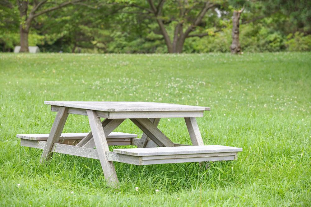 Enjoy Trails and Lake Views at Markin Glen County Park