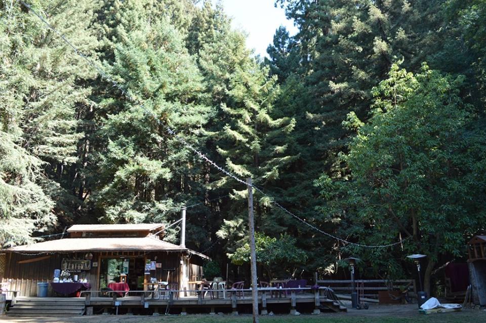 Experience Literary Legacy and Art at the Henry Miller Memorial Library
