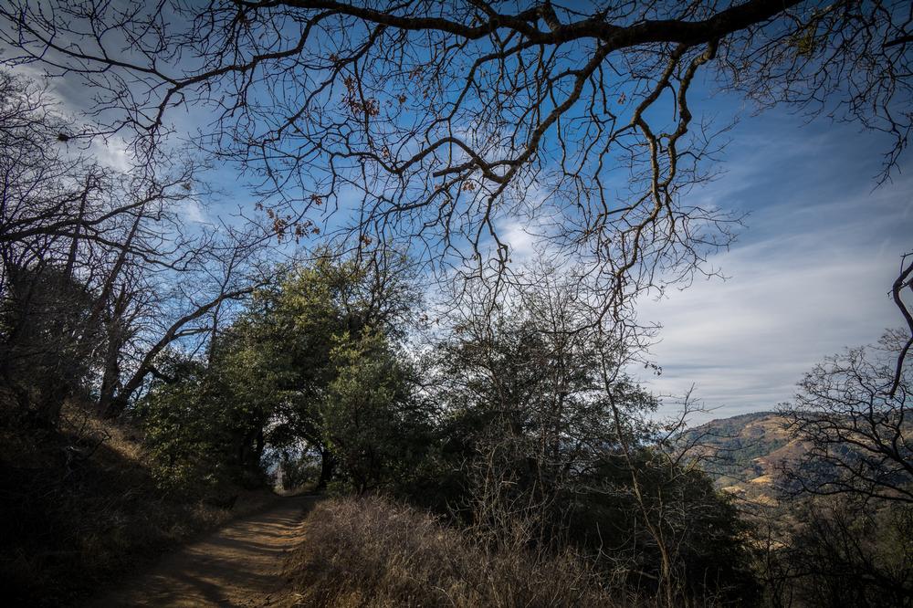 Hike on the Volcan Mountain Trailhead