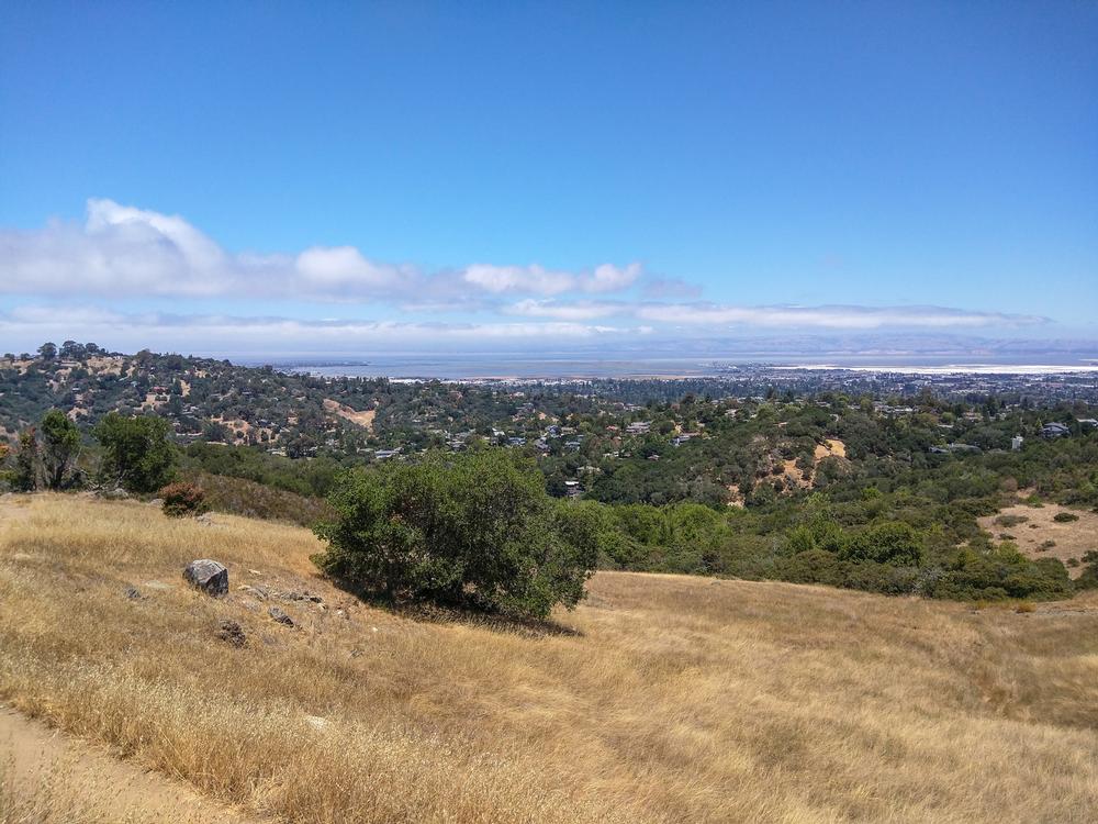 Hike to the Hills at Edgewood Park and Natural Preserve