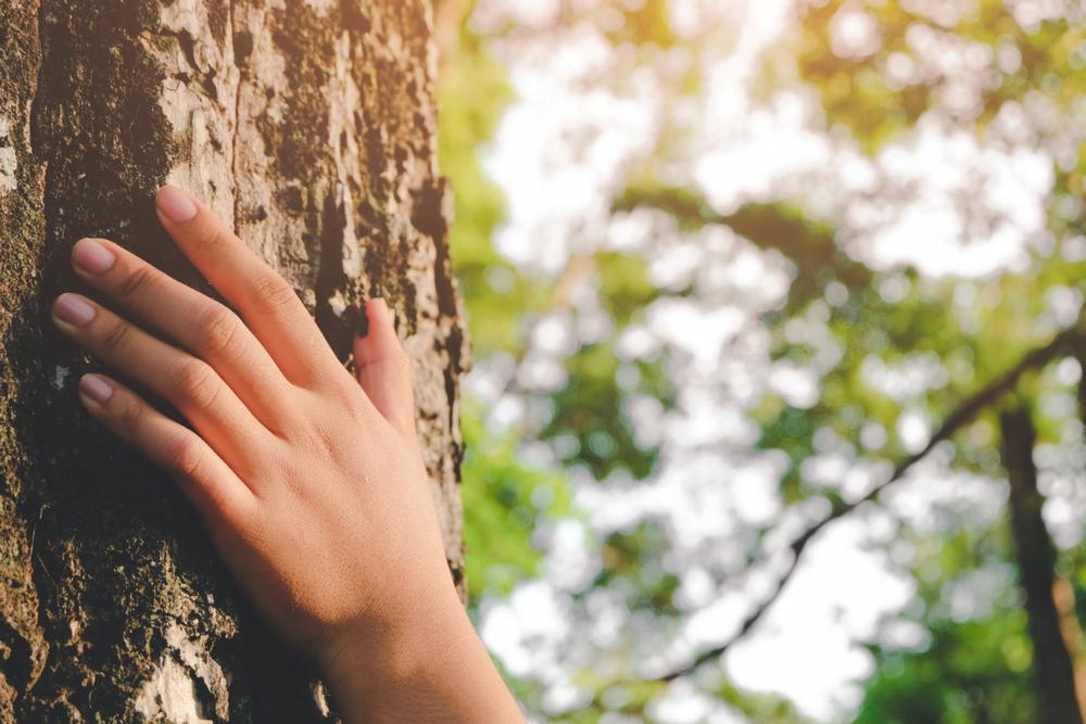 Hit the Trails: Hike, Bike, and Connect with Nature at Rockland Preserve