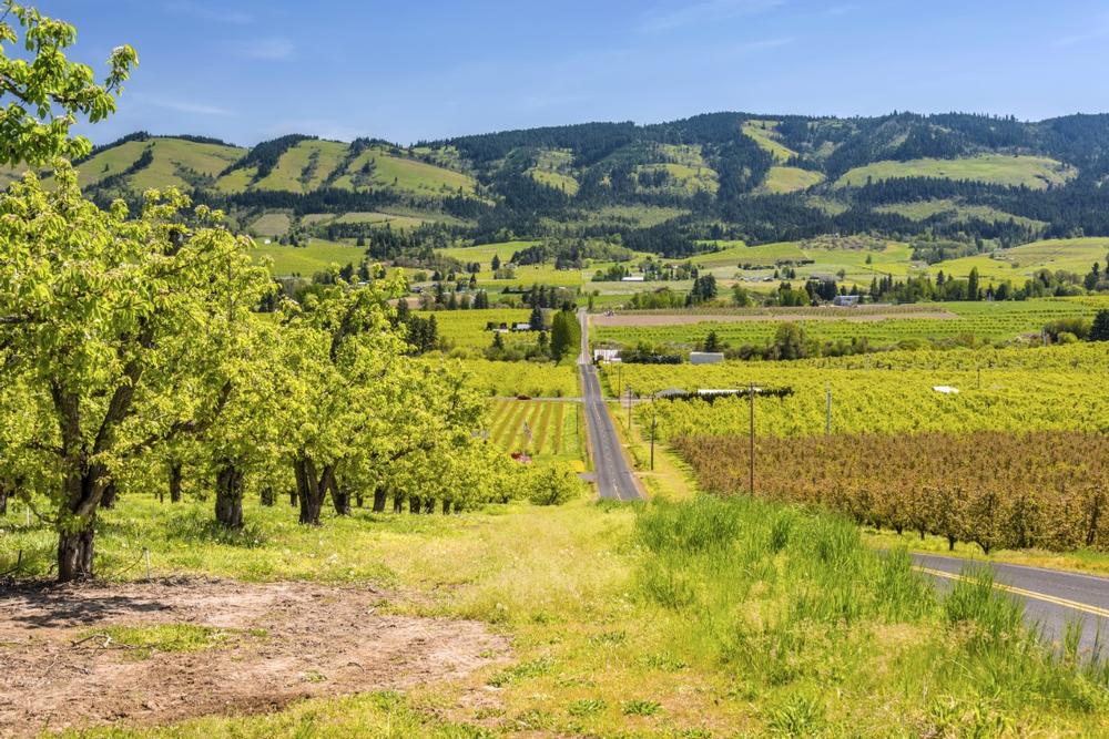 Hood River, OR - 3 hours by car from Tacoma