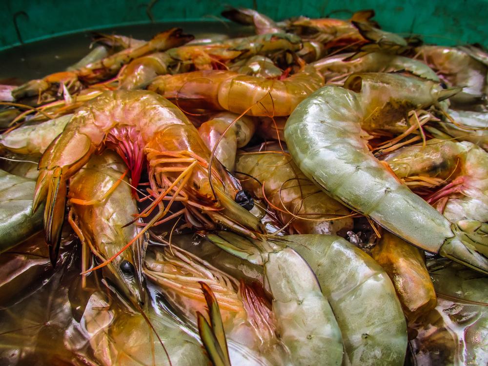If Fresh Catches and Local Flavor Tempt You, Visit Shuck’s Seafood Market