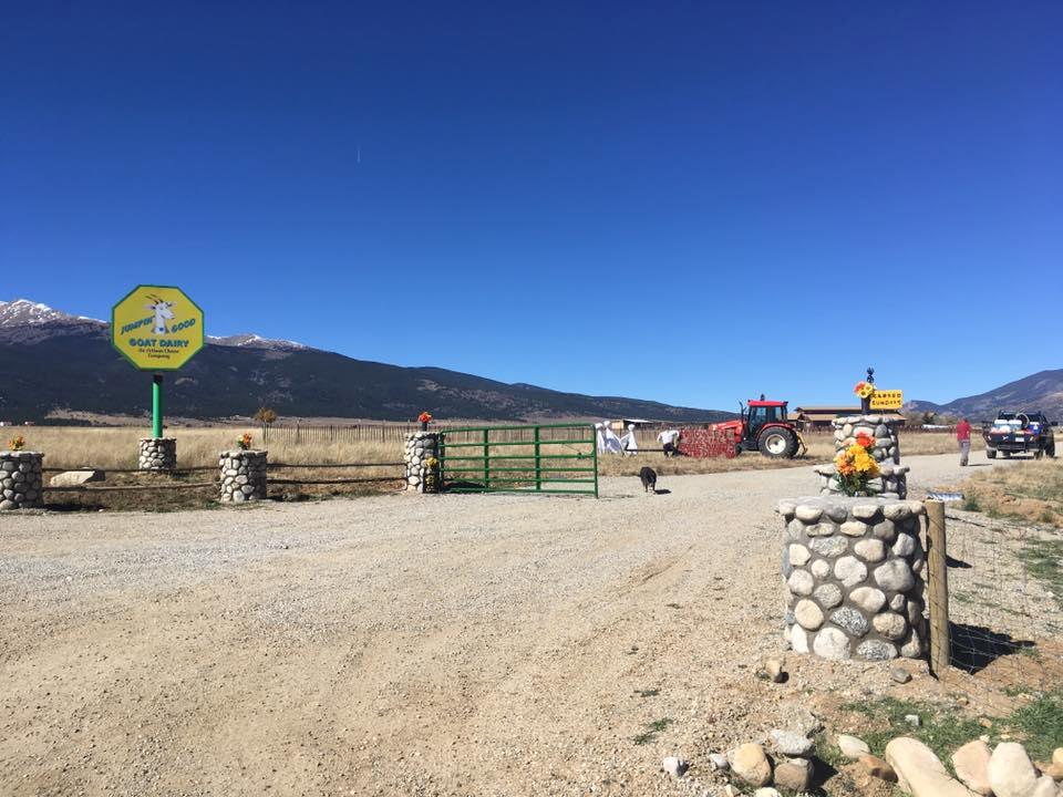 If You Crave Farm Adventures, Then Visit Jumpin' Good Goat Dairy