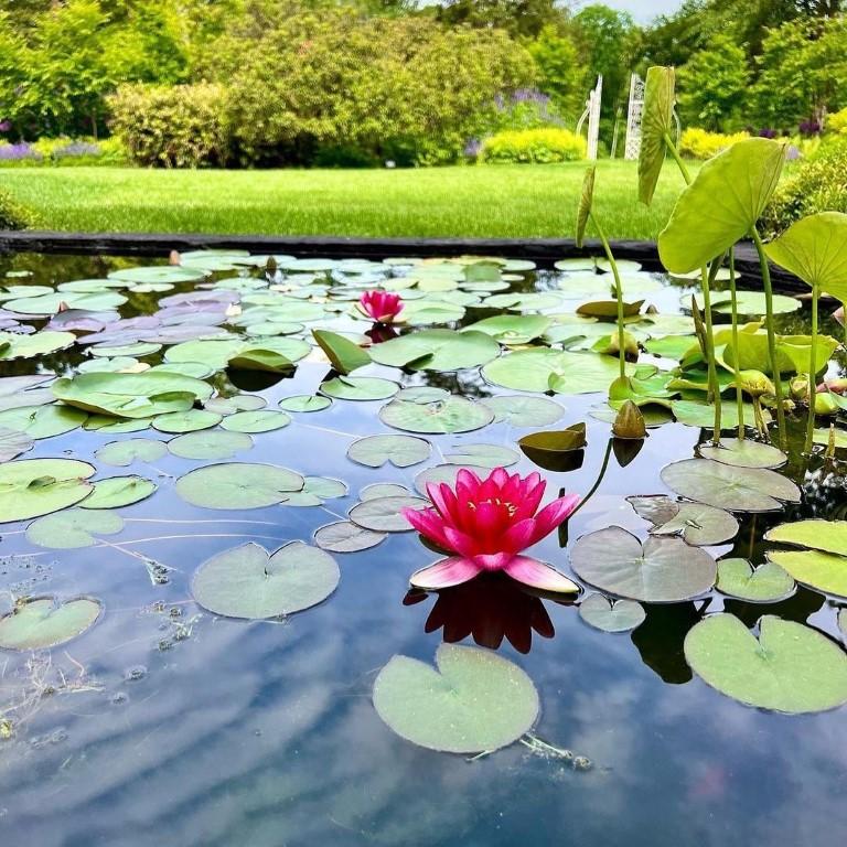 If You Love Historic Gardens, Visit the Stevens-Coolidge House and Gardens