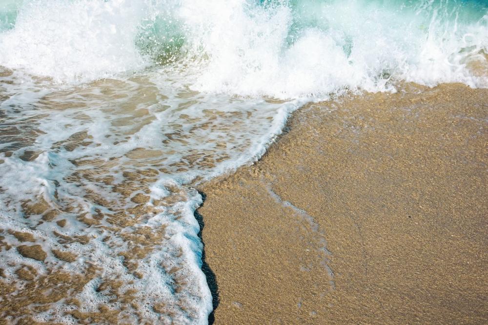 If You’re Looking for a Quiet Beach and Forested Walk, Visit Great Rock Bight Preserve