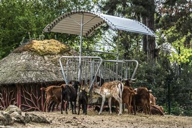 Jardin d'Acclimatation