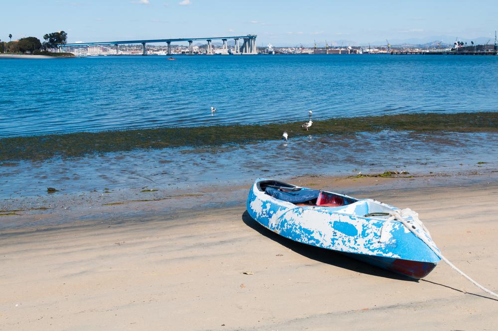 Kayak in calm waters and enjoy scenic sights on a peaceful spring outing.