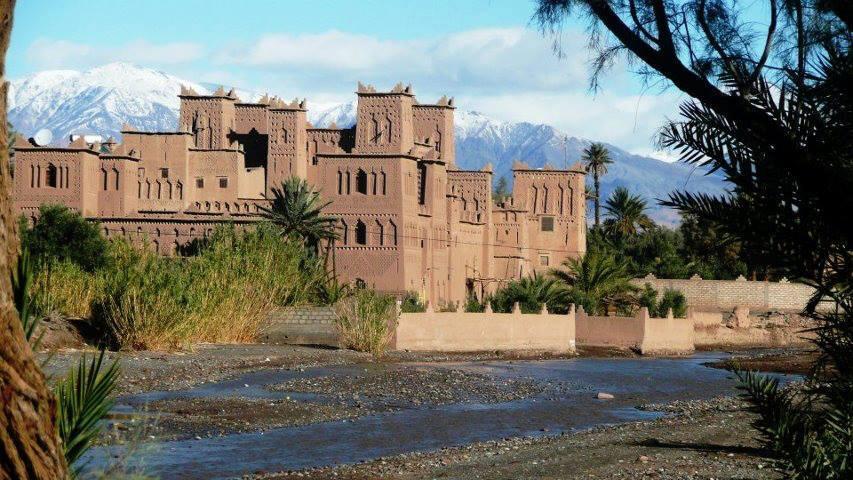 Let Adventure Lead: Discover Hidden Gems with Magic Lamp Tours