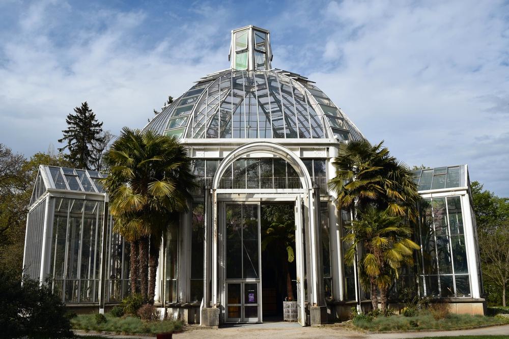 Marvel at Nature’s Masterpiece at the Conservatory and Botanical Garden of Geneva