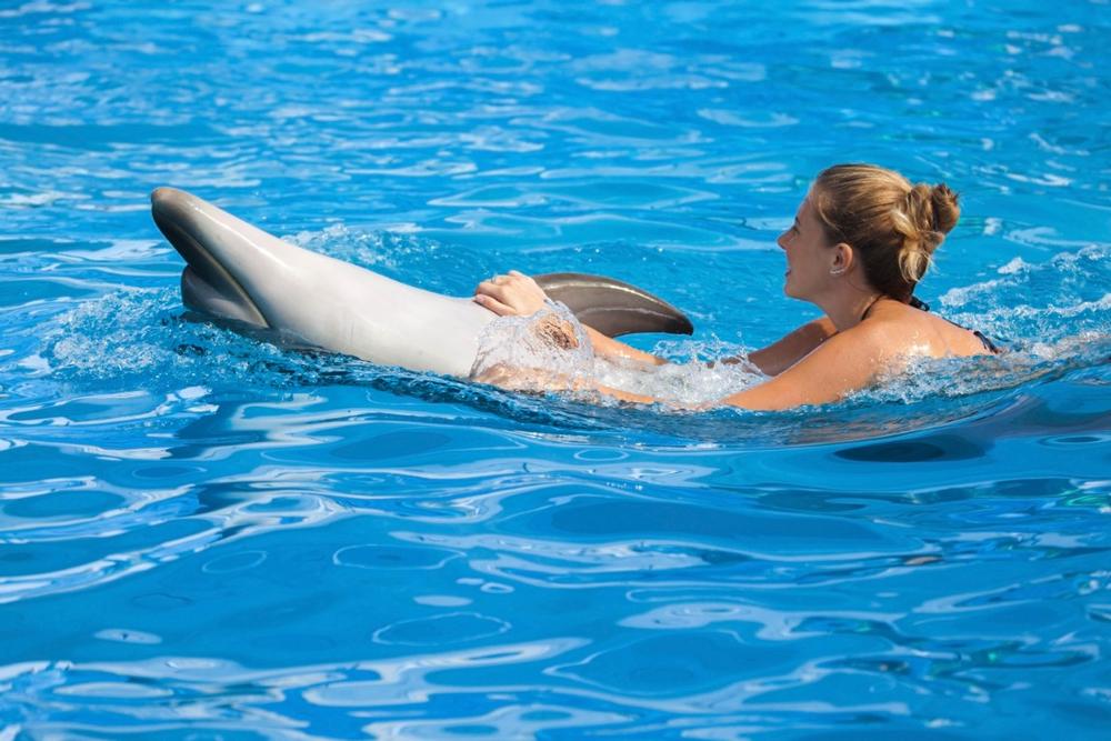 Meet Dolphins Up Close: If You Crave Ocean Encounters, Then Book Dolphin Discovery