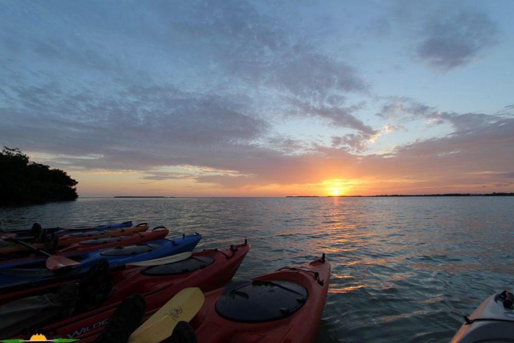 Paddle the Peaceful Backwaters with Garl’s Coastal Kayaking Everglades and Discover Mangrove Magic