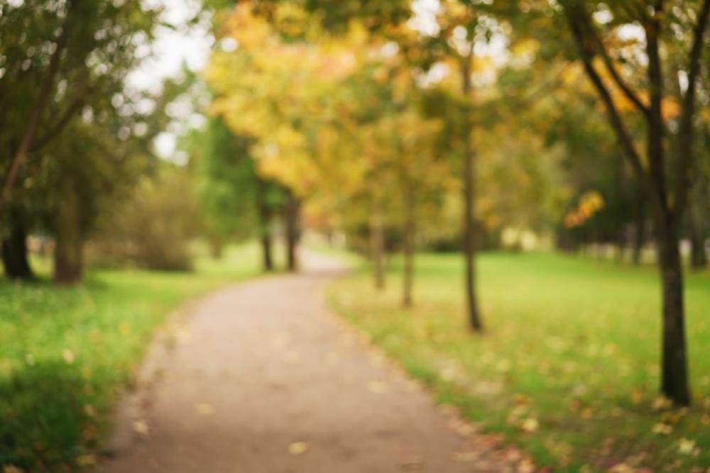 Play, Paddle, or Picnic at One of the Many Big Rapids Parks