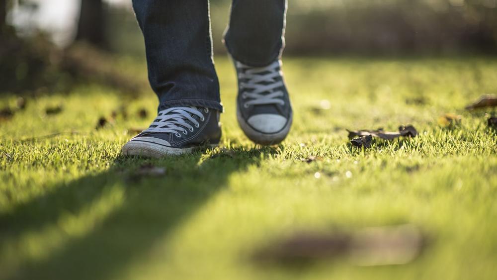 Play Along the River at Elizabeth River Park