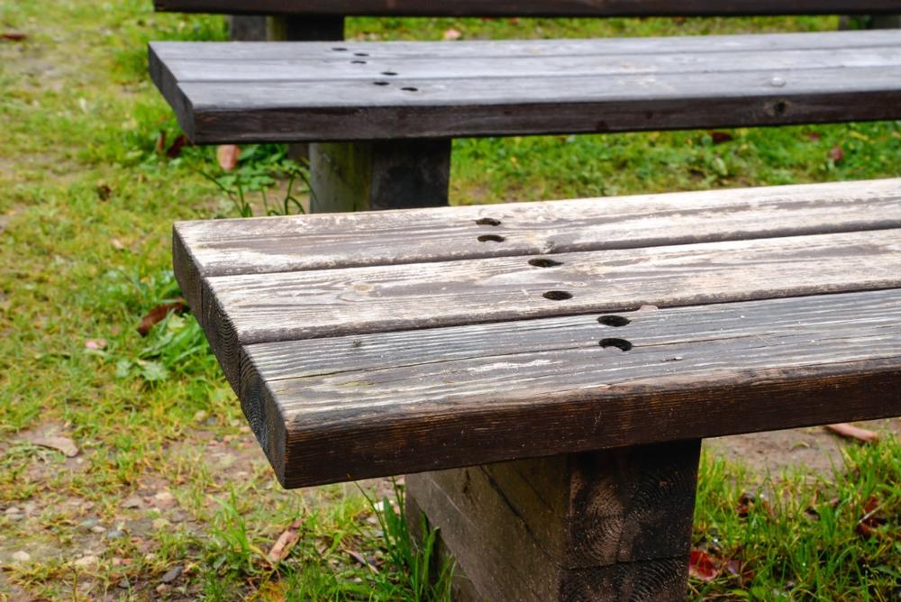 Play Big at Northwest Regional Park