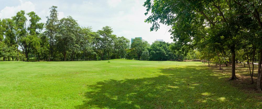 Relax or Play at Johnny Carson Park