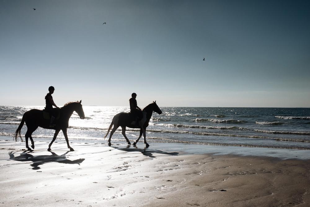 Saddle Up for a Seaside Ride with Amelia Island Horseback Riding