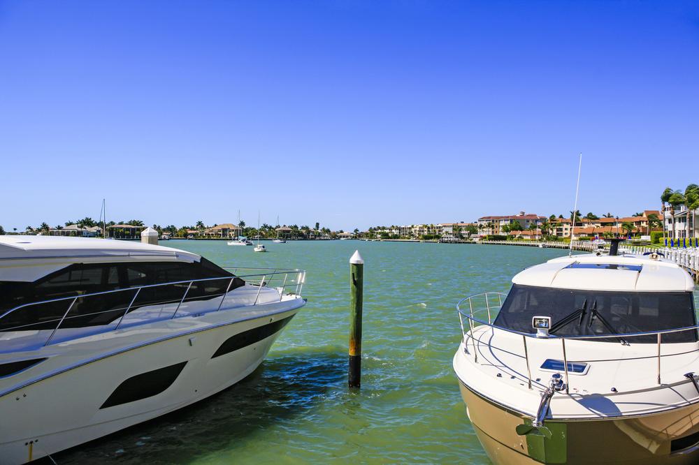 Set Sail for Wild Beauty: Marco Island Boat Tours