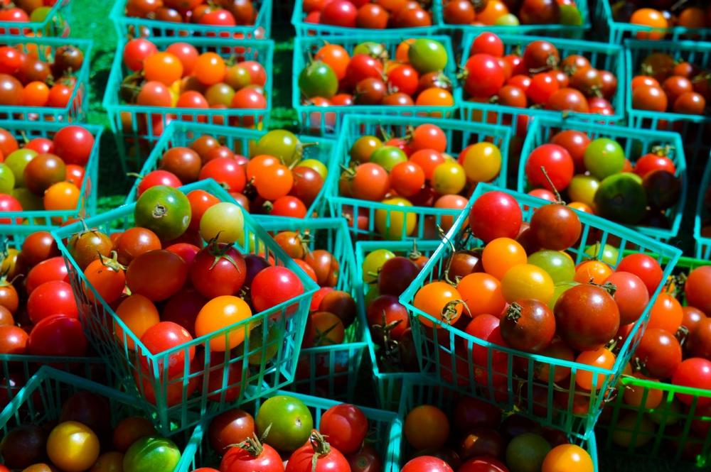 Shop Fresh and Local at the Peekskill Farmers Market